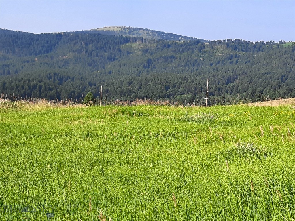 tbd Lupine Lane, Livingston MT 59047