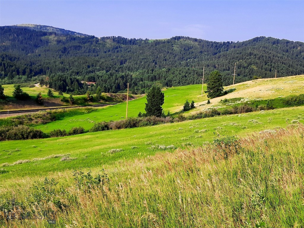 tbd Lupine Lane, Livingston MT 59047