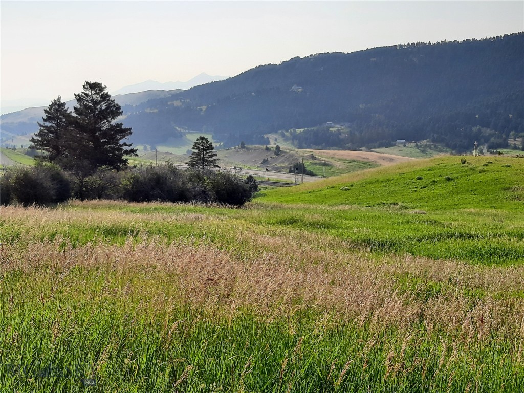 tbd Lupine Lane, Livingston MT 59047