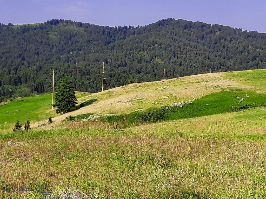 tbd Lupine Lane, Livingston MT 59047