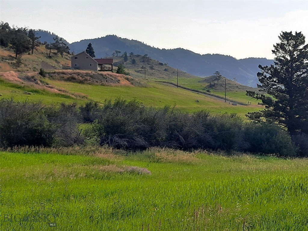 tbd Lupine Lane, Livingston MT 59047