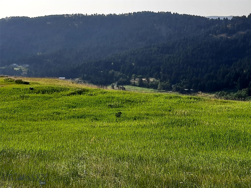 tbd Lupine Lane, Livingston MT 59047