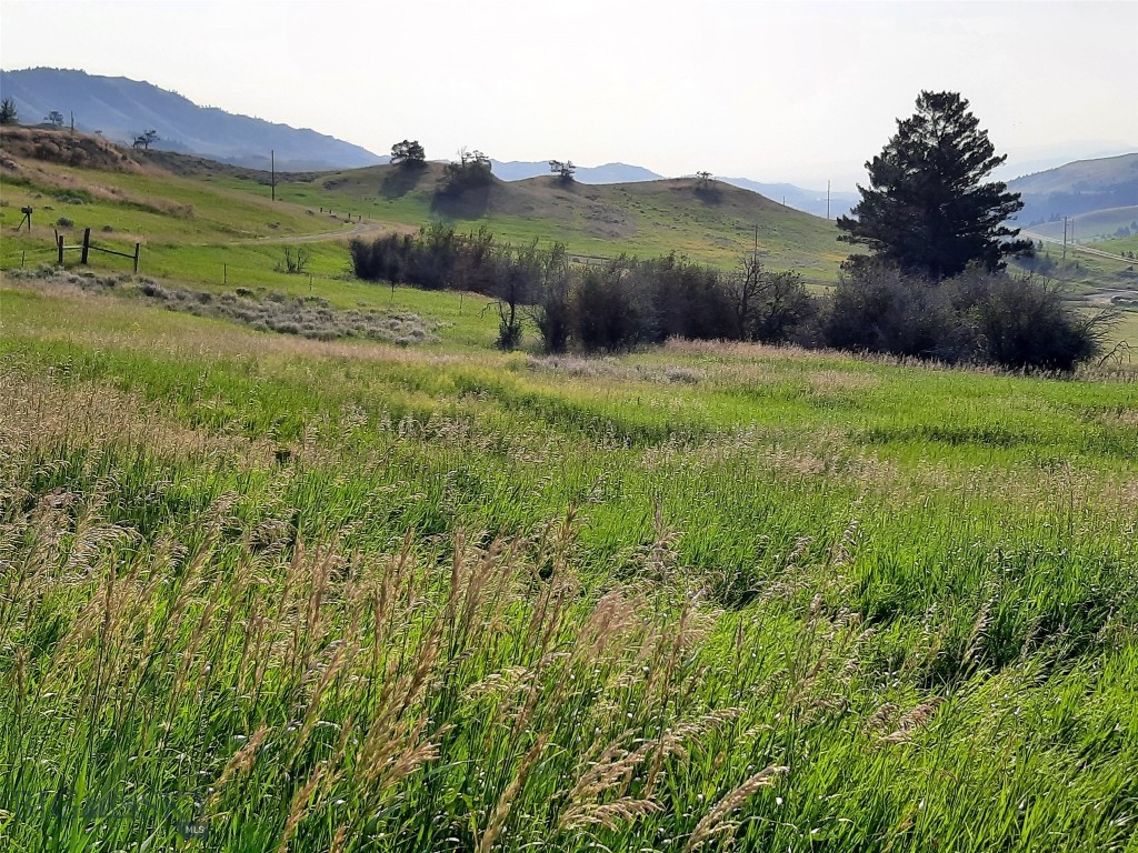 tbd Lupine Lane, Livingston MT 59047