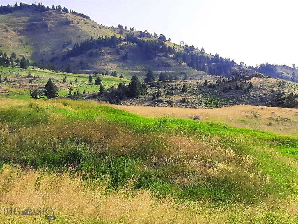 tbd Lupine Lane, Livingston MT 59047