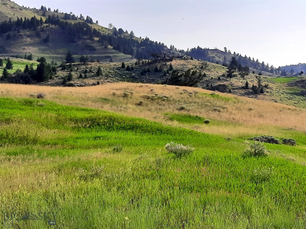 tbd Lupine Lane, Livingston MT 59047