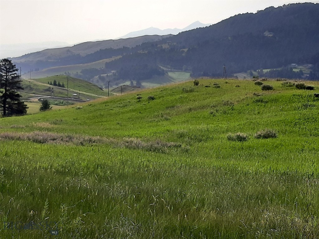 tbd Lupine Lane, Livingston MT 59047