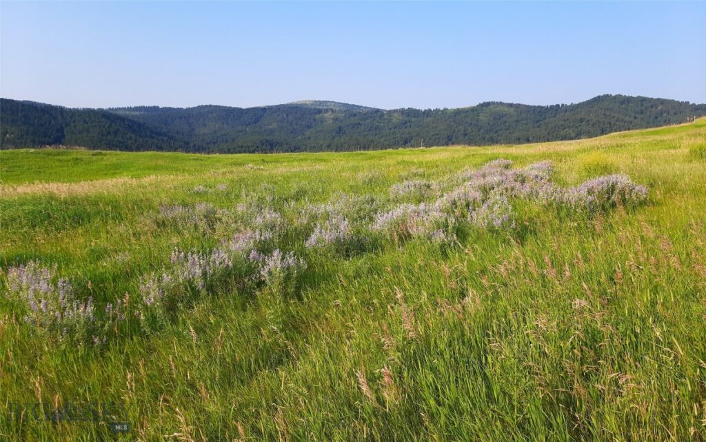 tbd Lupine Lane, Livingston MT 59047