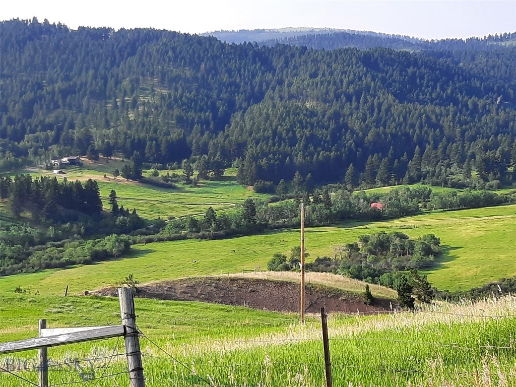 tbd Lupine Lane, Livingston MT 59047