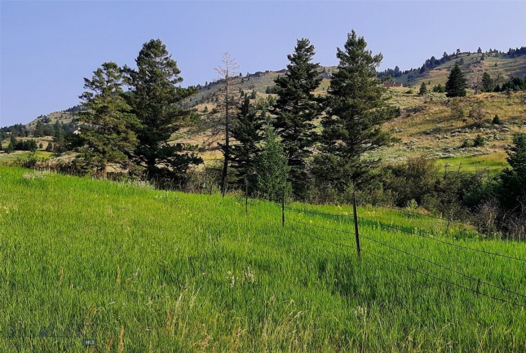 tbd Lupine Lane, Livingston MT 59047