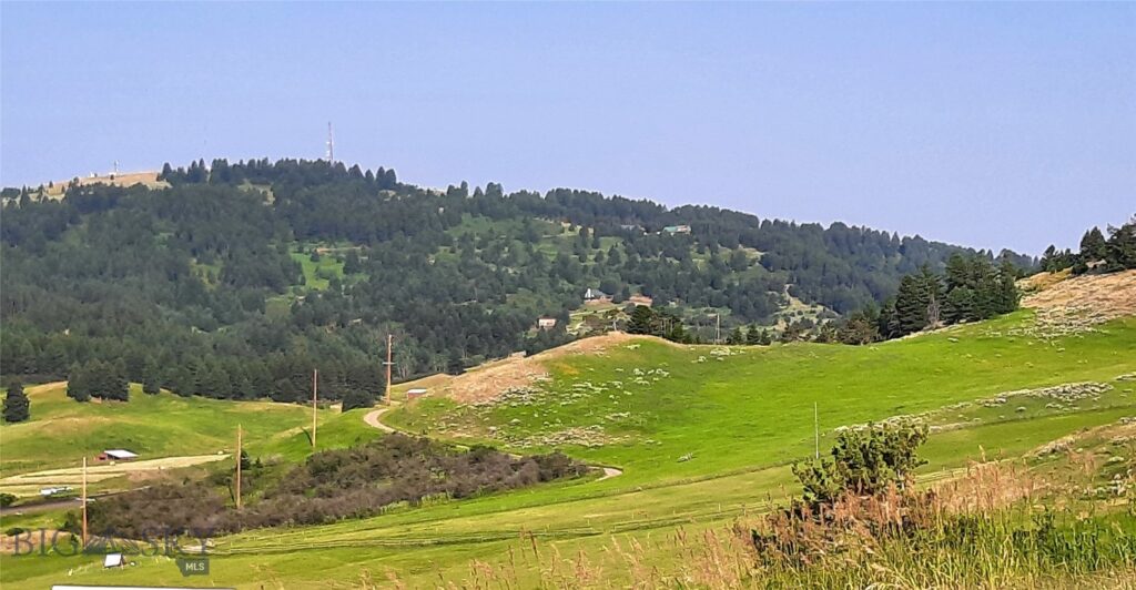 tbd Lupine Lane, Livingston MT 59047