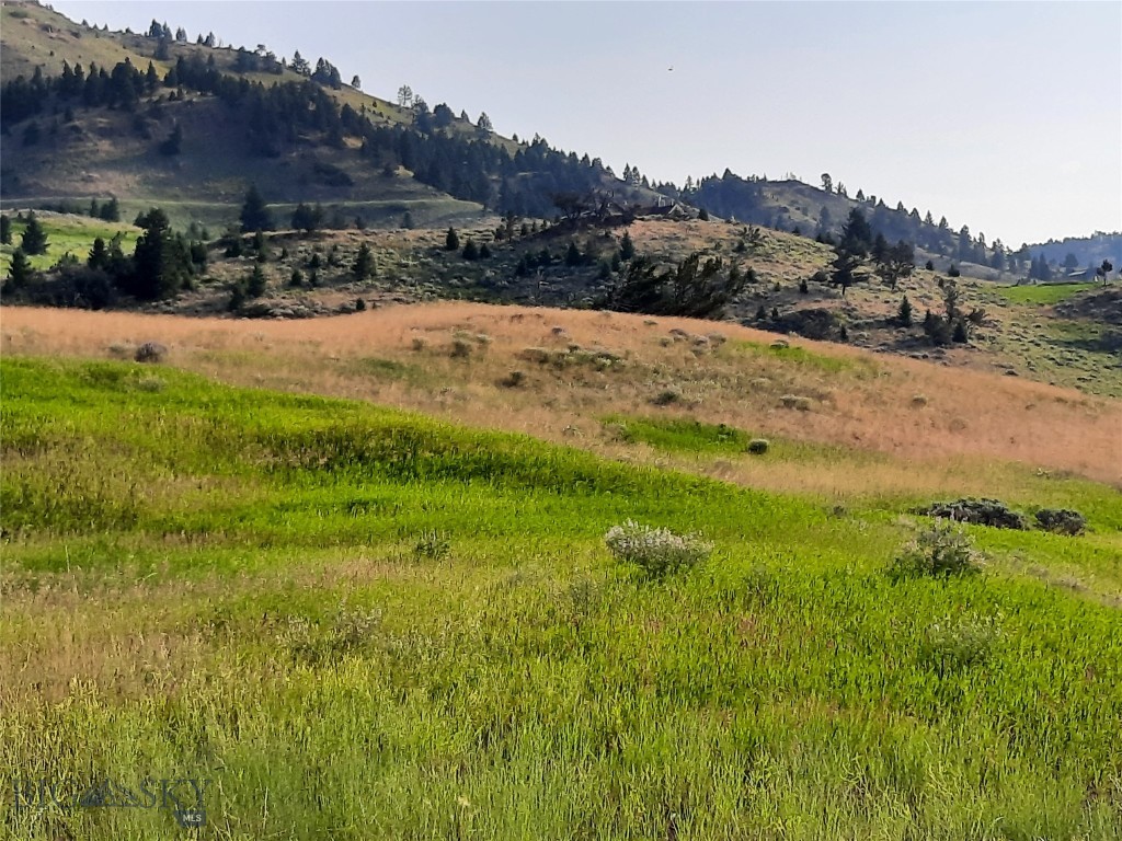 tbd Lupine Lane, Livingston MT 59047