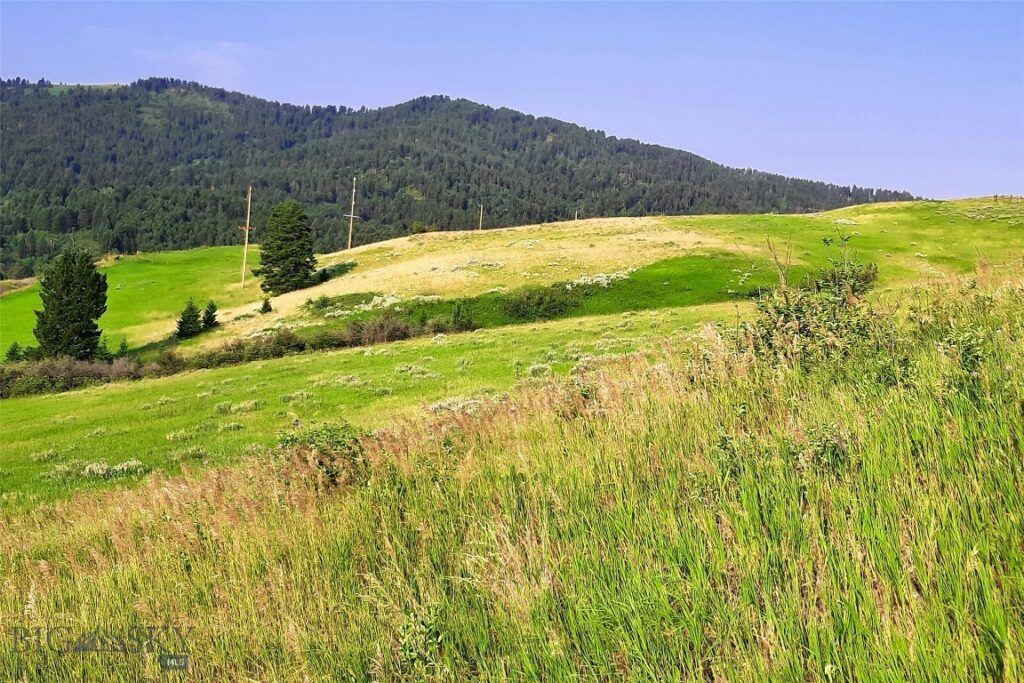 tbd Lupine Lane, Livingston MT 59047