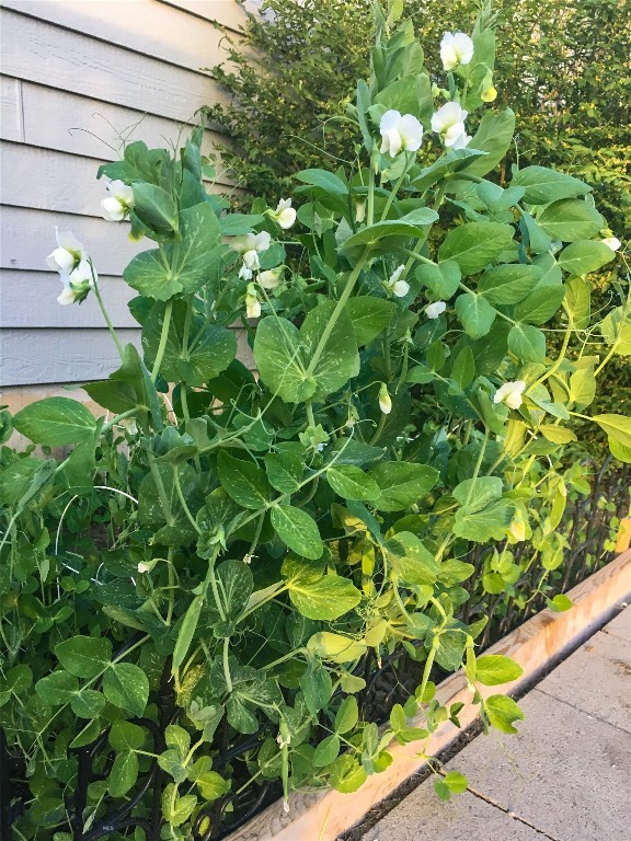 3227 Shooting Star Lane, Bozeman MT 59715