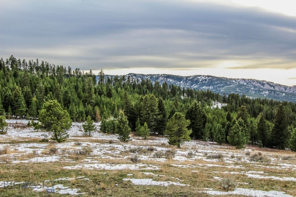 , Bozeman MT 59715