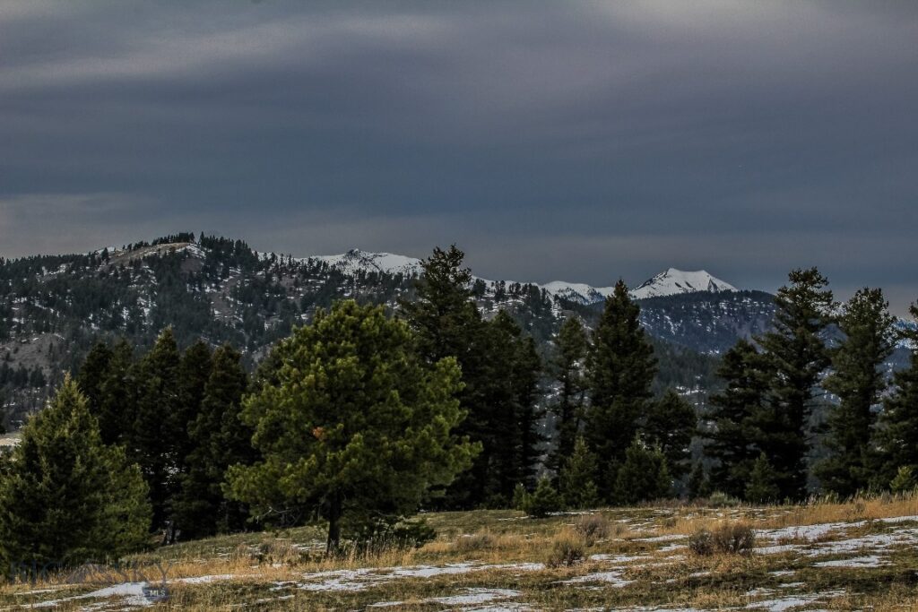 , Bozeman MT 59715