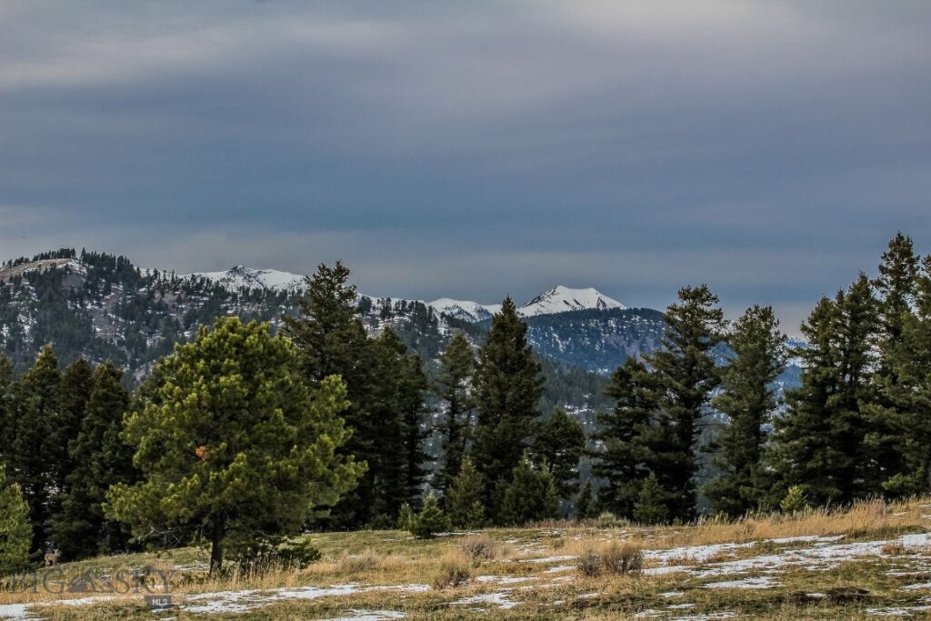 , Bozeman MT 59715