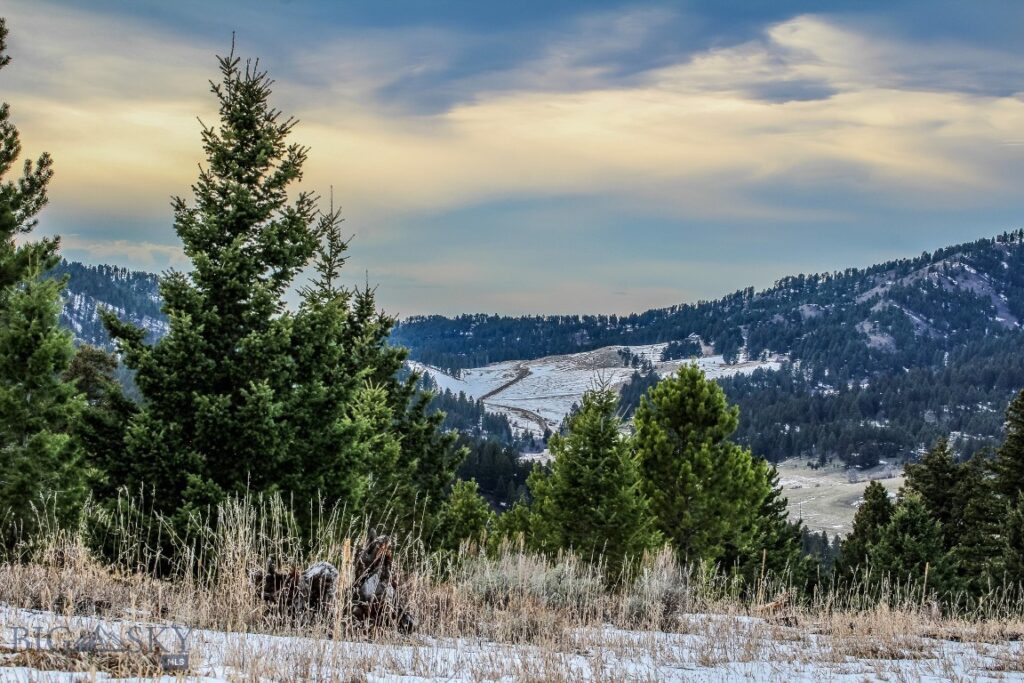 , Bozeman MT 59715