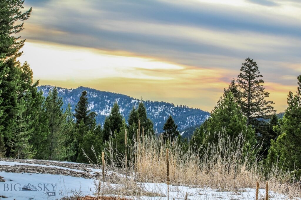 , Bozeman MT 59715