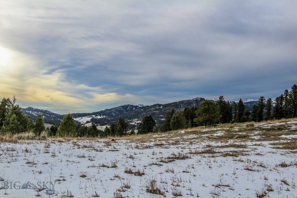 , Bozeman MT 59715