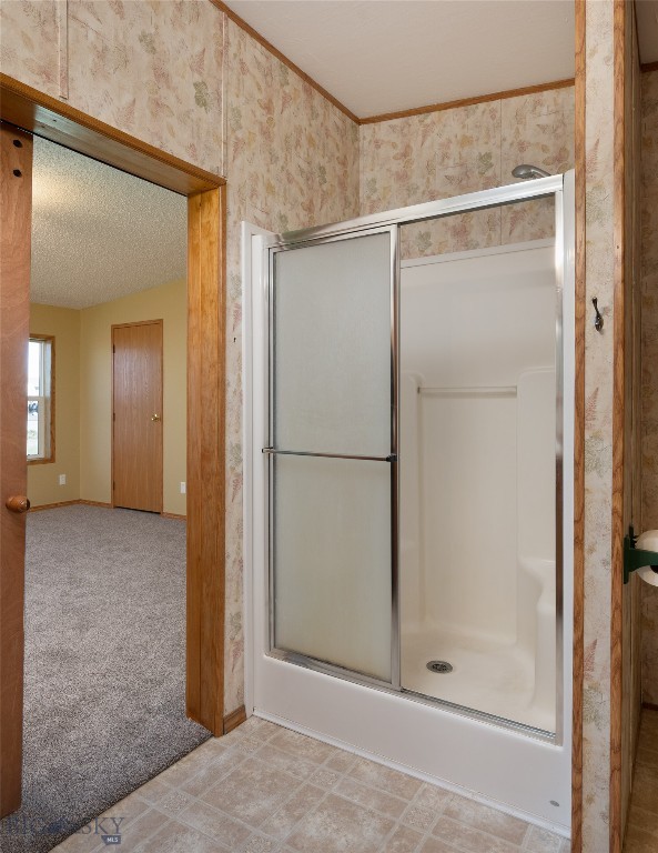 415 Tracy Ann, Belgrade MT 59714