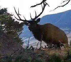 72 Sky Band Trail, Livingston MT 59047