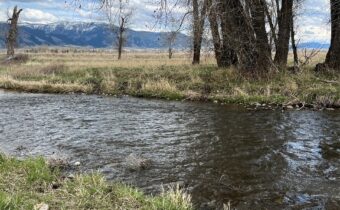 TBD E Baseline, Belgrade MT 59714