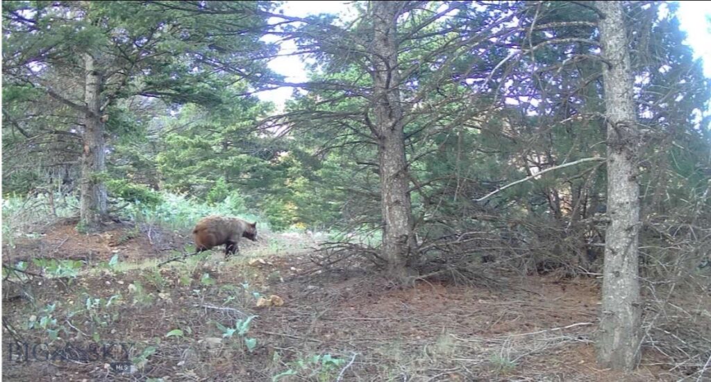 Springhill Vistas Ranch at Four Bar Ranches, Belgrade MT 59714