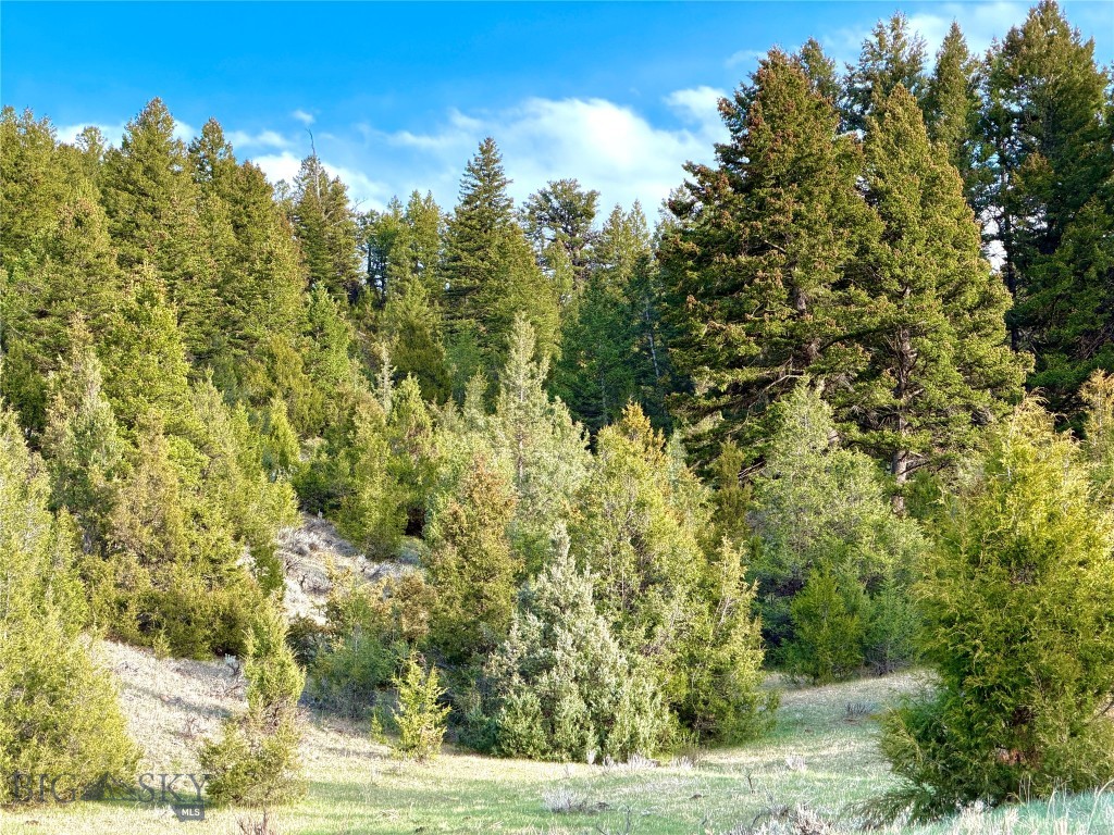 1847 Maudlow Road, Belgrade MT 59714