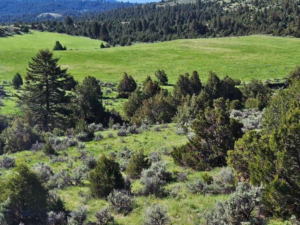 1847 Maudlow Road, Belgrade MT 59714