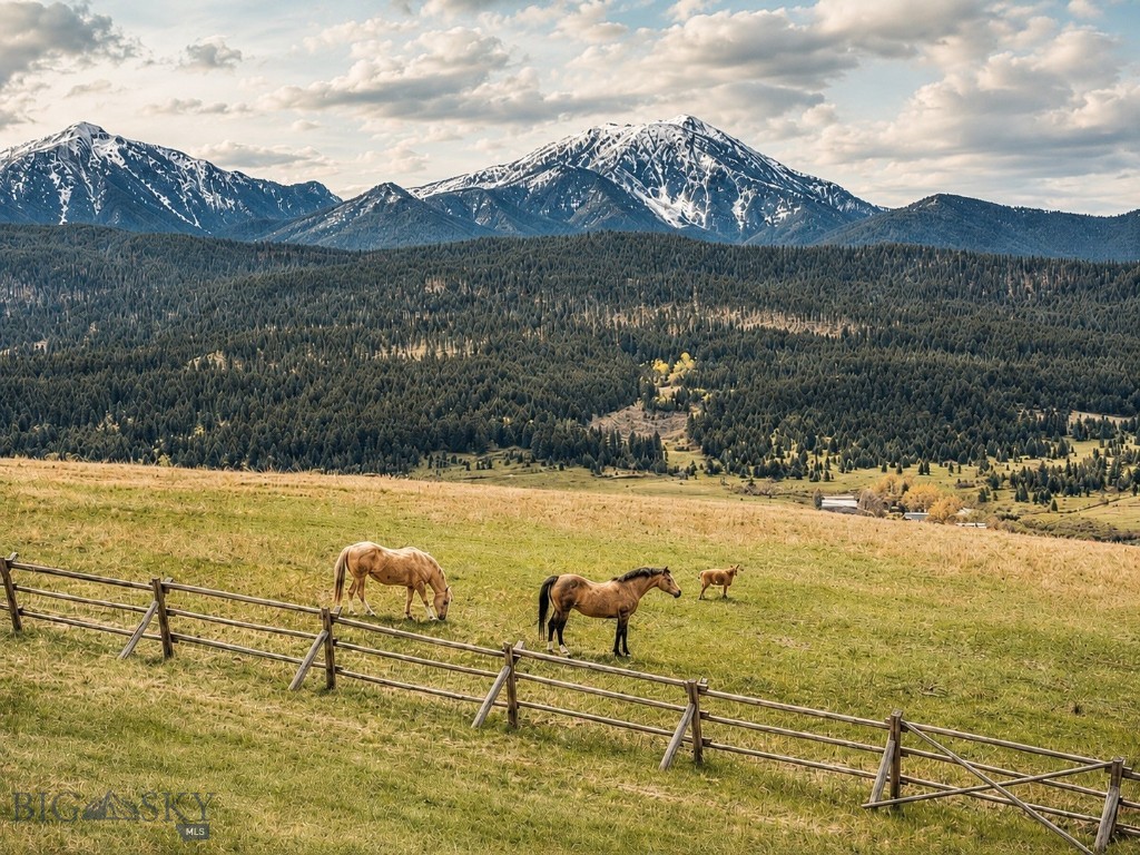 262 Swingley Road, Livingston MT 59047
