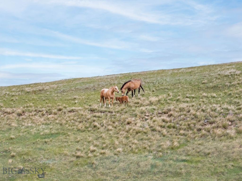 262 Swingley Road, Livingston MT 59047