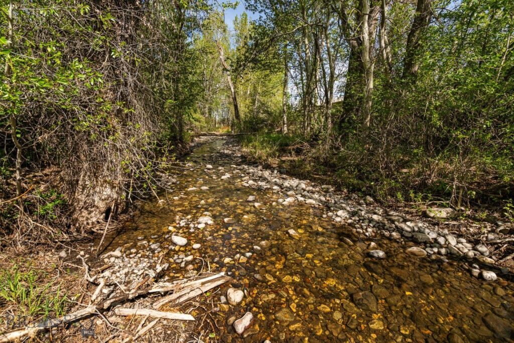 648 Bushnell Road, Bozeman MT 59718