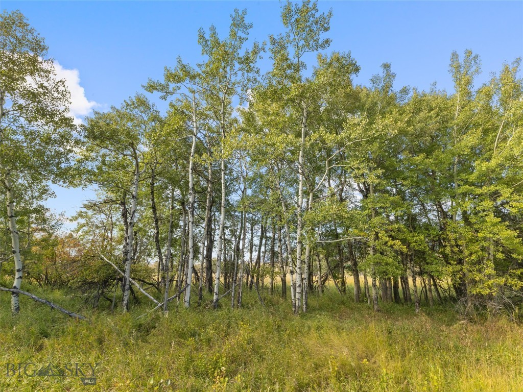TBD Springhill Community Road, Belgrade MT 59714