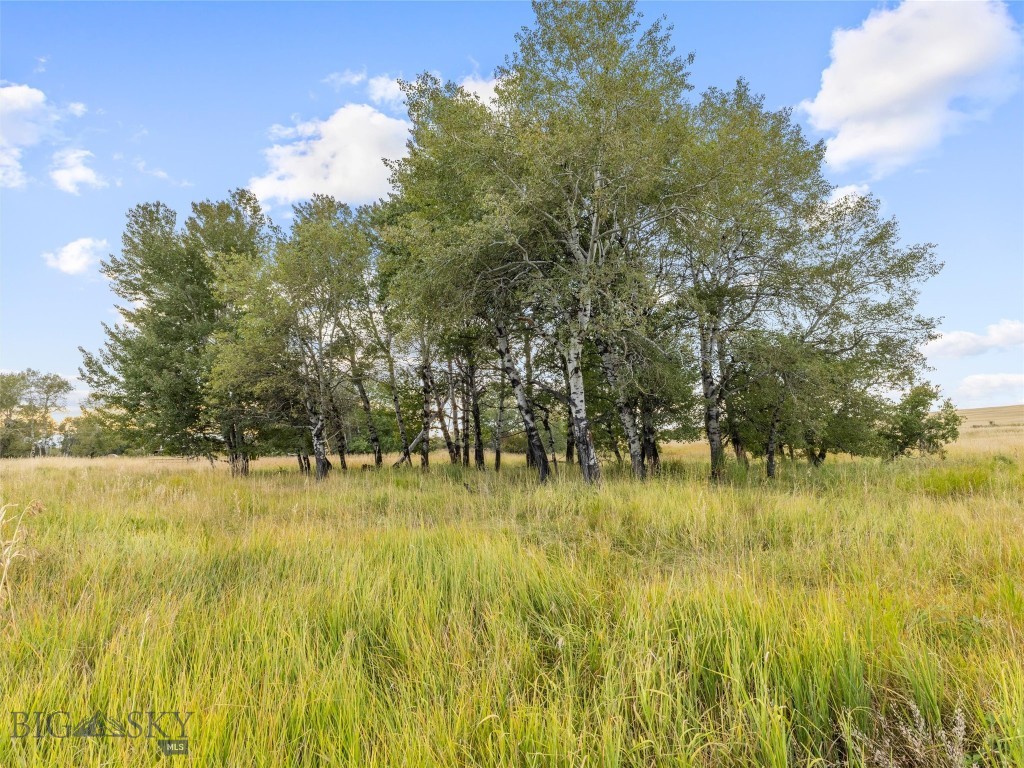 TBD Springhill Community Road Road, Belgrade MT 59714