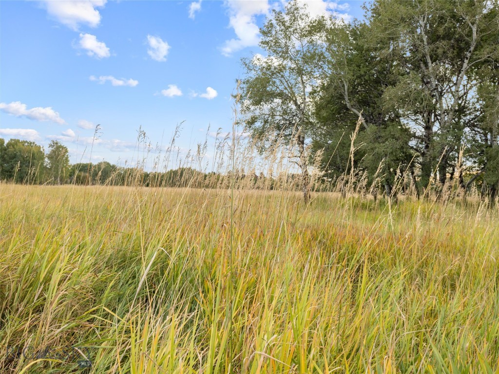 TBD Springhill Community Road Road, Belgrade MT 59714