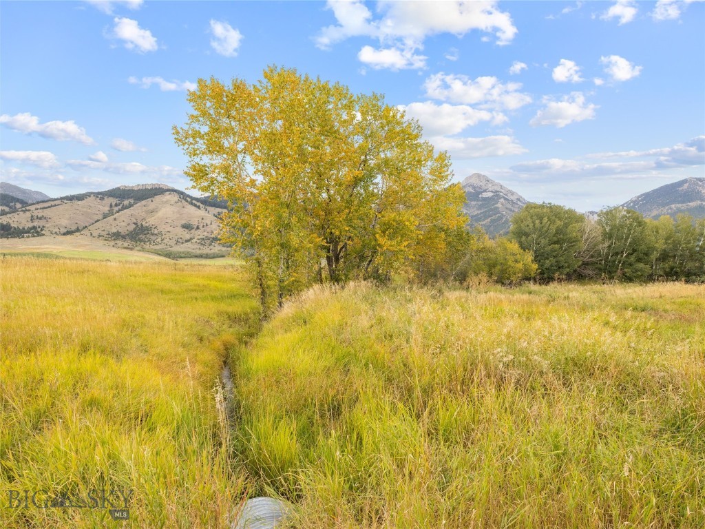 TBD Springhill Community Road Road, Belgrade MT 59714