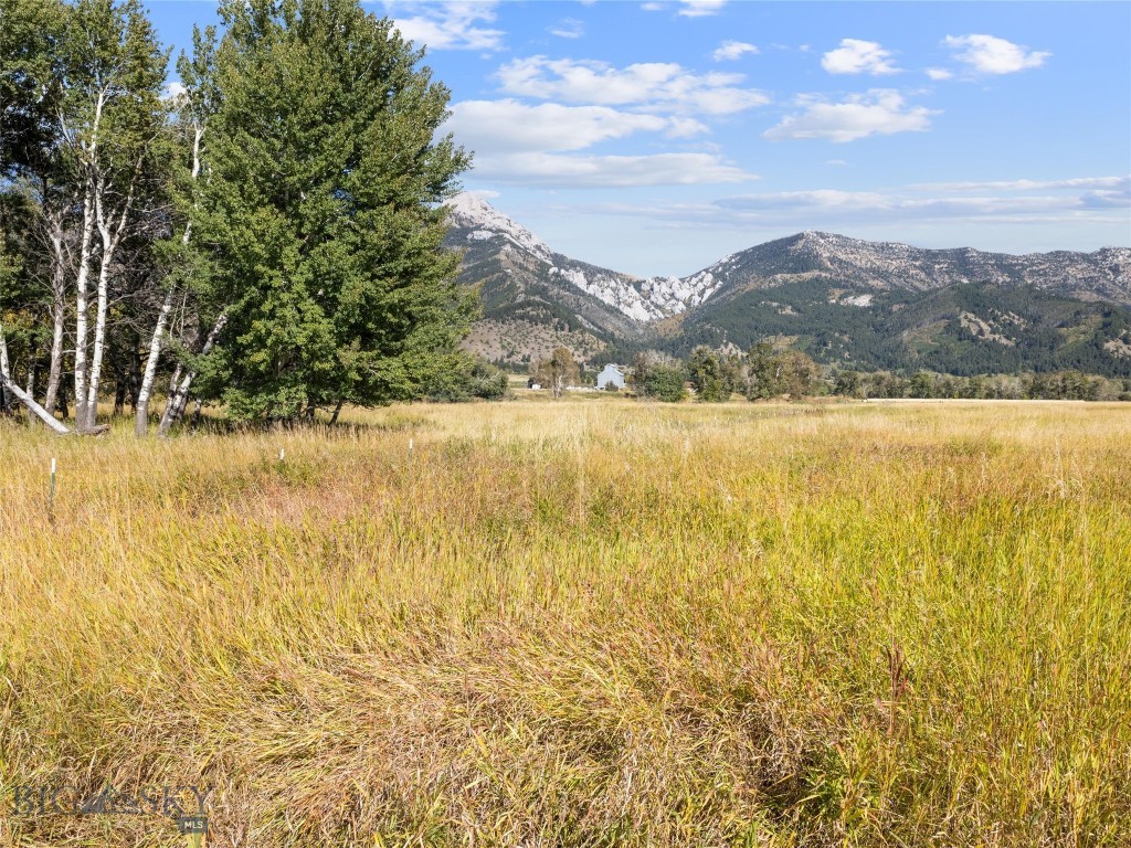 TBD Springhill Community Road Road, Belgrade MT 59714