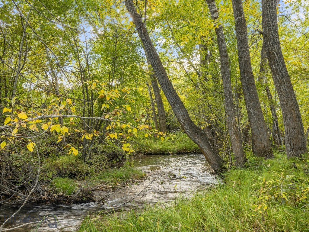 TBD Springhill Community Road Road, Belgrade MT 59714