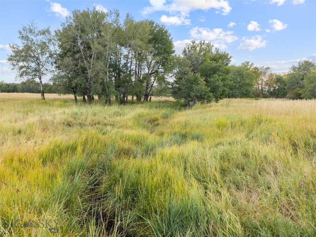 TBD Springhill Community Road Road, Belgrade MT 59714