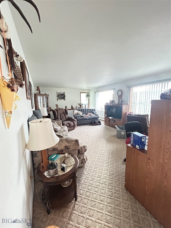 3 Chesapeake Drive, Livingston MT 59047