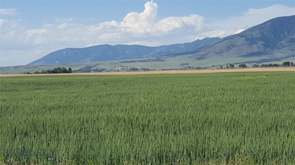 4468 Wes Davis Road N, Belgrade MT 59714