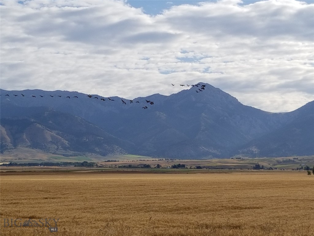 4468 Wes Davis Road N, Belgrade MT 59714