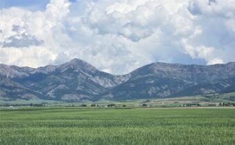 4468 Wes Davis Road N, Belgrade MT 59714