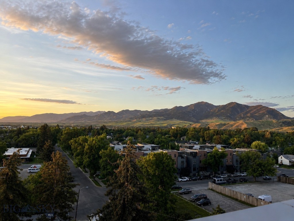 5 W Mendenhall, Bozeman MT 59715