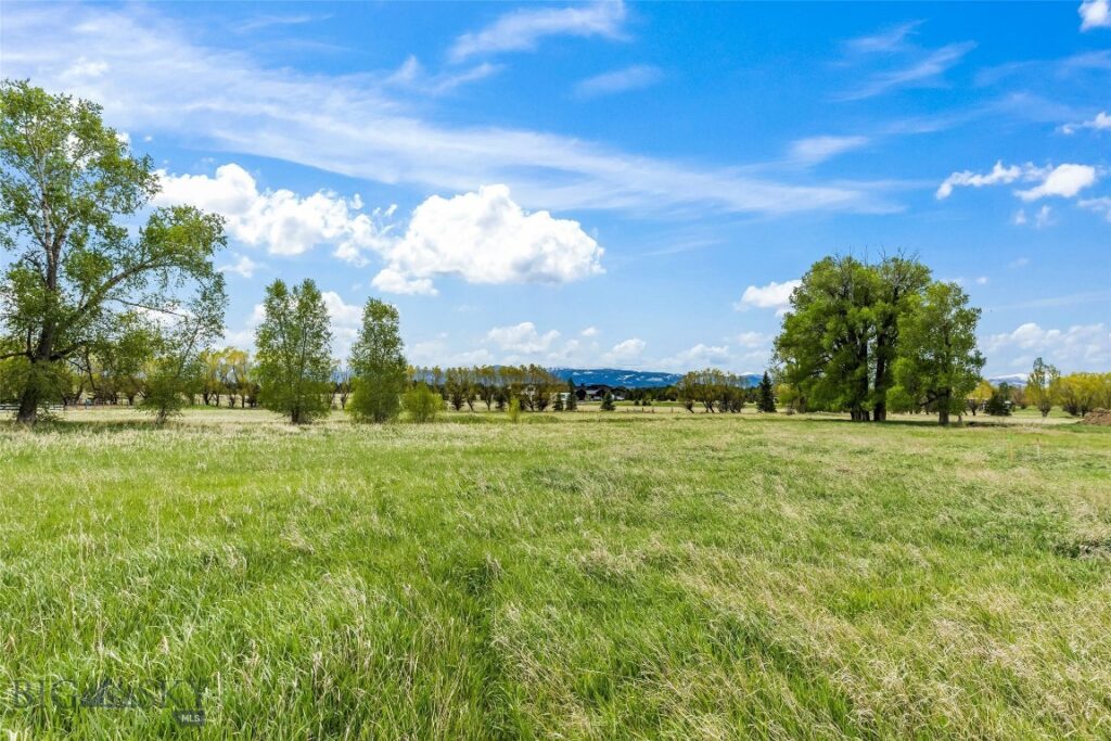 Lot 3 TBD Willem Way, Belgrade MT 59714