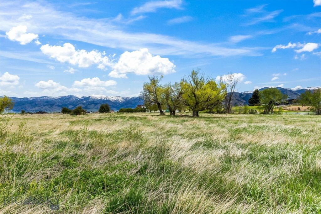 Lot 3 TBD Willem Way, Belgrade MT 59714