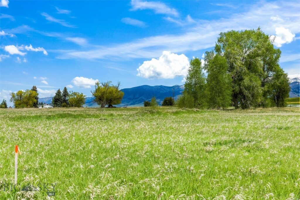 Lot 3 TBD Willem Way, Belgrade MT 59714