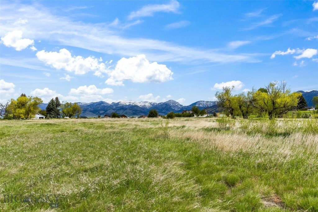 Lot 3 TBD Willem Way, Belgrade MT 59714