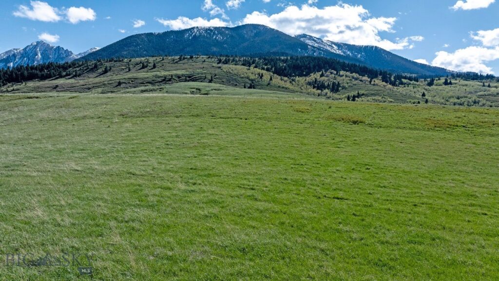 TBD Bruffey, Livingston MT 59047