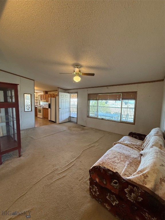 107 Prairie Dog Road, Livingston MT 59047